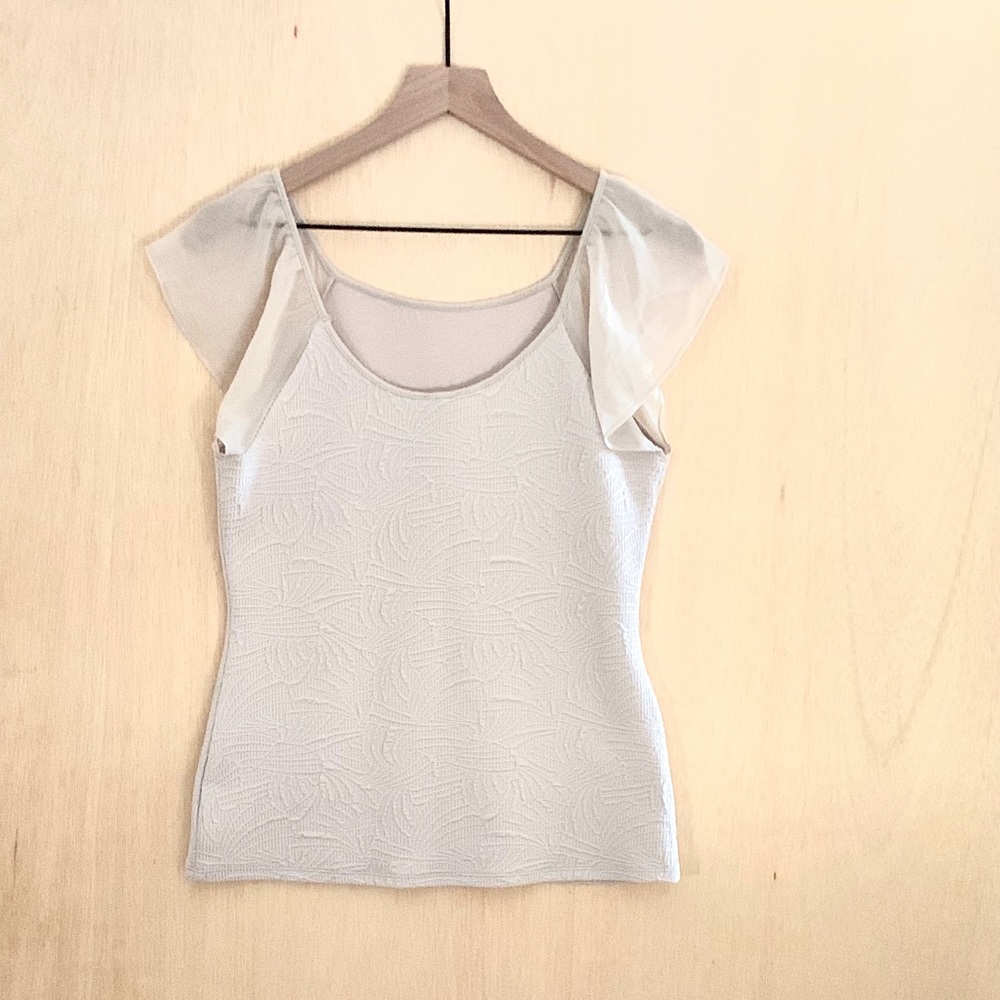 NEW Express Sheer Sleeves Top Size Medium